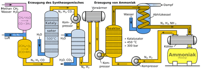 Mechanismus der Ammoniaksynthese
