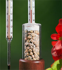 Temperatursteigerung bei keimenden Samen