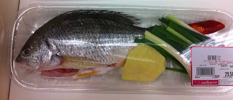 Lebensmittelverpackung (PE) Fisch